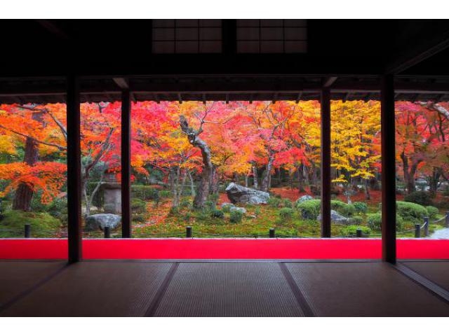 18 全国の紅葉が美しい 日本庭園 33選 美しすぎる名勝から穴場まで 3 じゃらんnet