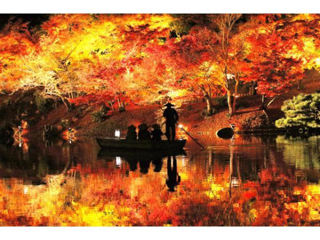 栗林公園秋のライトアップ