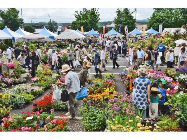 花フェスタ19旭川 アクセス イベント情報 じゃらんnet