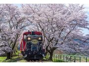 嵯峨野トロッコ列車　運行の写真1