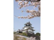 掛川城の桜の写真1