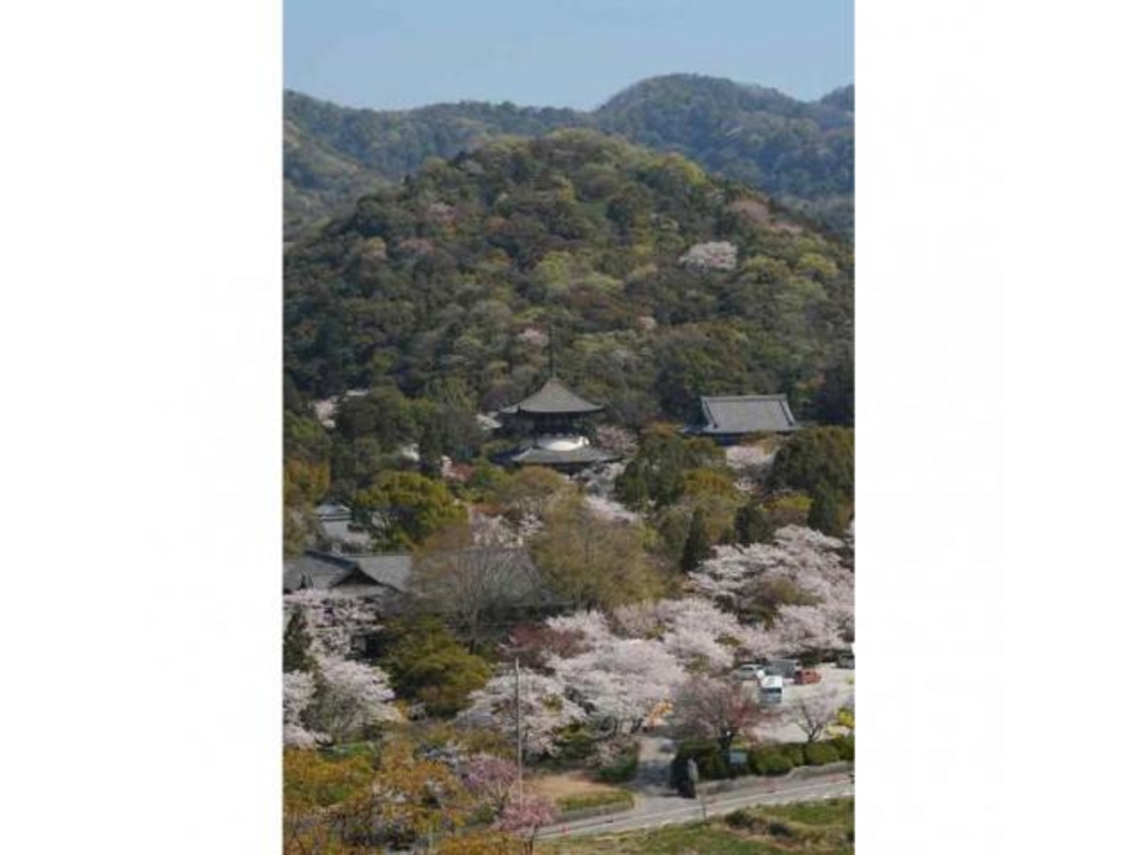 岩出市のイベントランキング