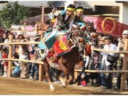 菊間祭り（お供馬の走り込み）の写真1