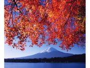 富士河口湖紅葉まつりの写真1