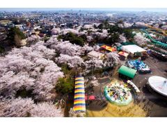 華蔵寺公園花まつりの写真1