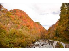 岨谷峡の紅葉の写真1