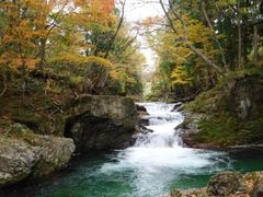 伏伸の滝と紅葉の写真1