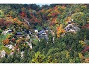 宝珠山立石寺の紅葉の写真1
