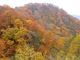 白神山地の紅葉の写真2