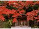 永源寺の紅葉の写真2