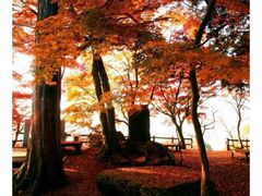 太平山県立自然公園謙信平の紅葉の写真1