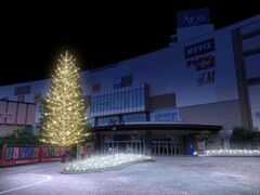 アリオ亀有 ウィンター イルミネーションの写真1