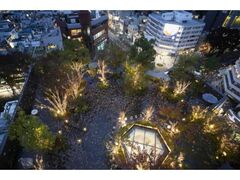 OMOHARA Christmas illuminationの写真1