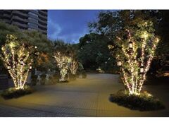 御殿山ウインターイルミネーションの写真1