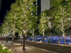 ~bhh@XNGA@C~l[V̎ʐ^1