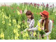 ̗Eԋy@ԓE݂̎ʐ^1