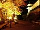 郡上八幡 もみじまつりの写真3