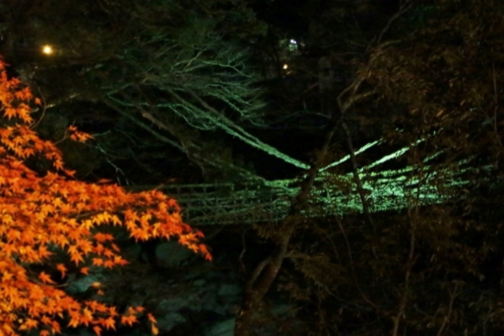 夜のかずら橋 - 祖谷のかずら橋の口コミ