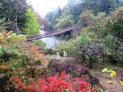吟の旅さんの秋川渓谷の投稿写真1