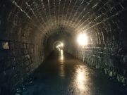 れおんさんの天城山隧道の投稿写真1