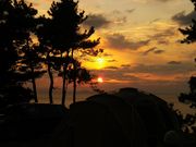 JOEさんの波戸岬キャンプ場への投稿写真1