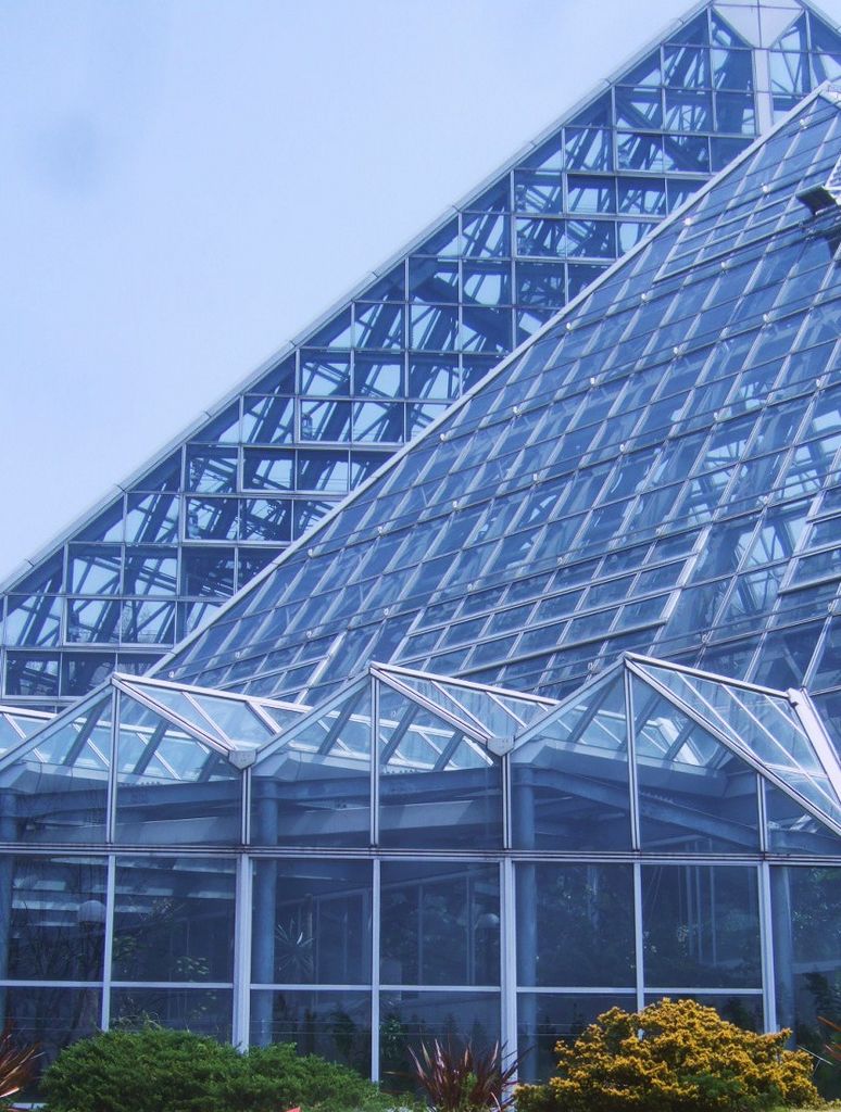 ピラミッド型の巨大な温室のある広大な植物園 大阪府立 花の文化園の口コミ じゃらんnet