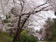 弘前城植物園の写真1