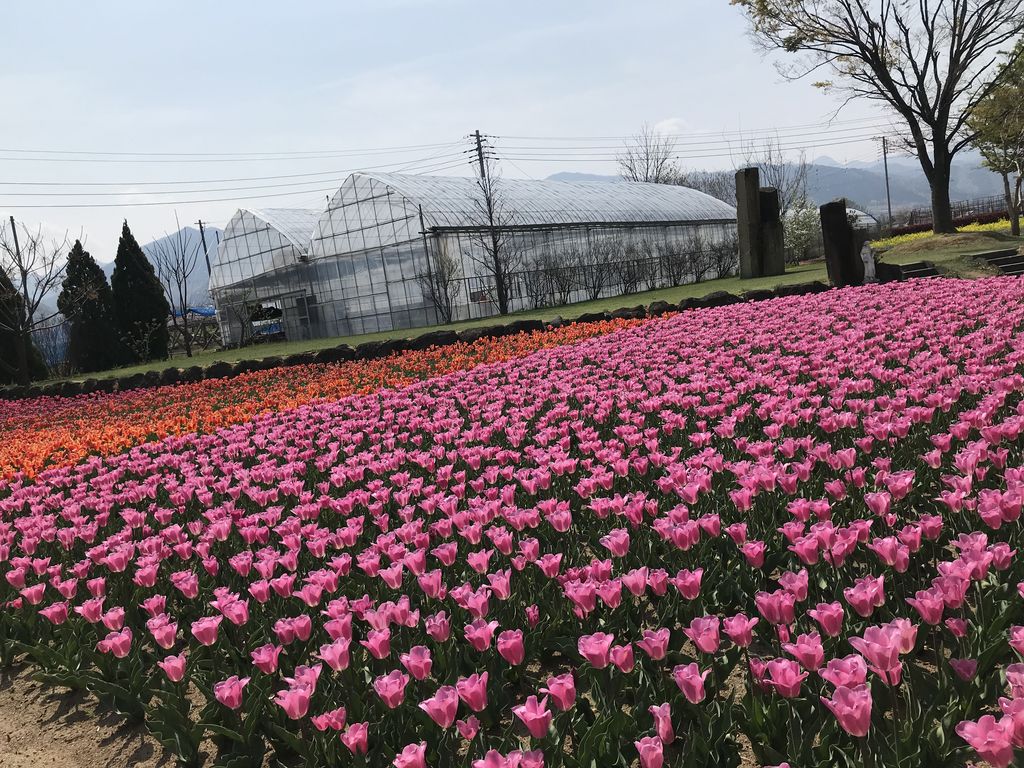 庭園がきれいです ハーブ庭園旅日記の口コミ じゃらんnet