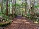 `m񂳂̊ Mt.Fuji Nature Travelւ̓eʐ^4