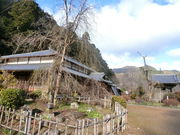 やんまあさんの大野寺の枝垂桜への投稿写真1