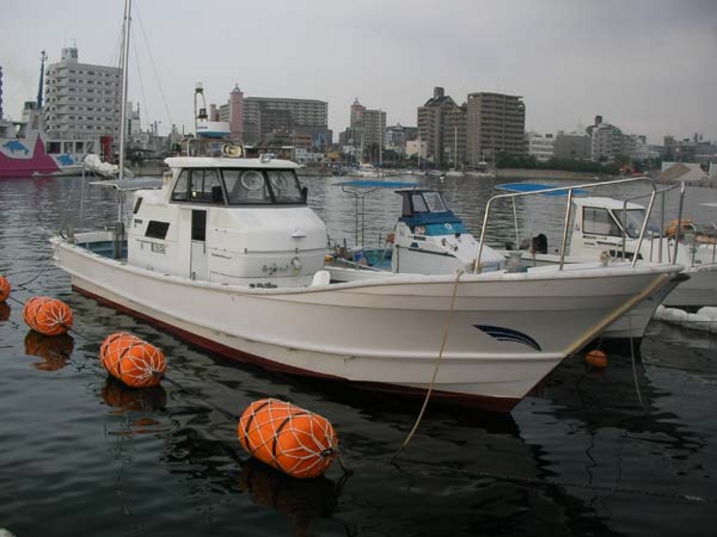 神戸 有馬 明石の釣り 釣り堀 渓流釣り 海釣り 釣り船等 ランキングtop10 じゃらんnet