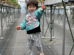 とよさんファームいちご園