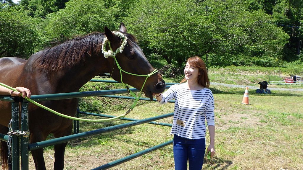 [コンプリート！] 宮城 県 動物 ふれあい 855447 pixcfree