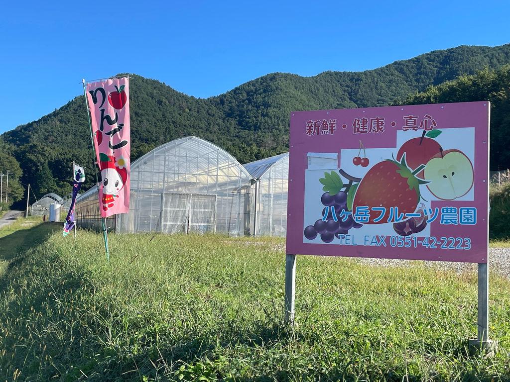 八ヶ岳・小淵沢・清里・大泉の果物・野菜狩りランキングTOP10