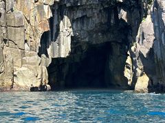 ブルーツーリズムくまの