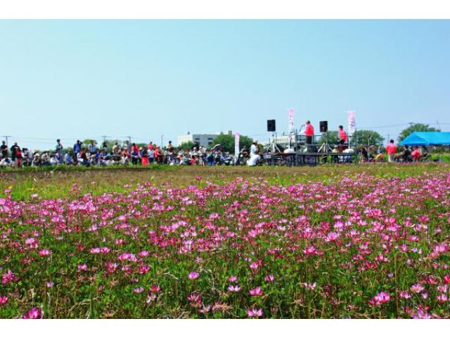 富士山れんげまつり アクセス イベント情報 じゃらんnet