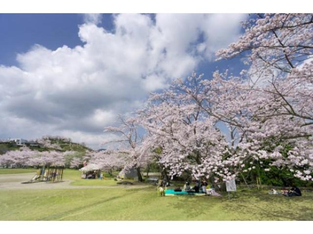 丸岡公園の桜 アクセス イベント情報 じゃらんnet 丸岡公園の桜 アクセス イベント情報 じゃらんnet