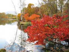 笹ヶ峰高原　清水ヶ池の紅葉の写真1