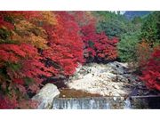 黒尊渓谷の紅葉の写真1