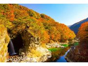 鬼怒川・龍王峡の紅葉の写真1