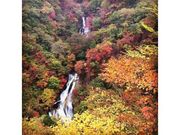 霧降ノ滝の紅葉の写真1