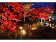筑波山ケーブルカー　ナイトクルージング＆もみじライトアップの写真1