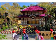 楽寿園菊まつりの写真1