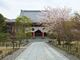 京都春の東山三ヶ寺巡りの写真2