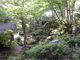小堀遠州作名勝庭園　紅葉ライトアップの写真1
