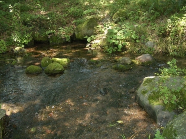 八ヶ岳・小淵沢・清里・大泉の旅行ガイド