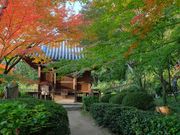 みぽりんさんの白峯寺への投稿写真1