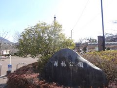 キヨさんの猿橋近隣公園への投稿写真1