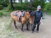 きーぼうさんの木曽馬の里木曽馬乗馬センターへの投稿写真1