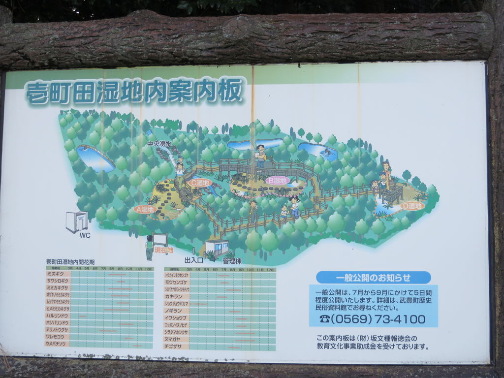 武豊町自然公園遊歩道周辺の観光スポットランキング じゃらんnet